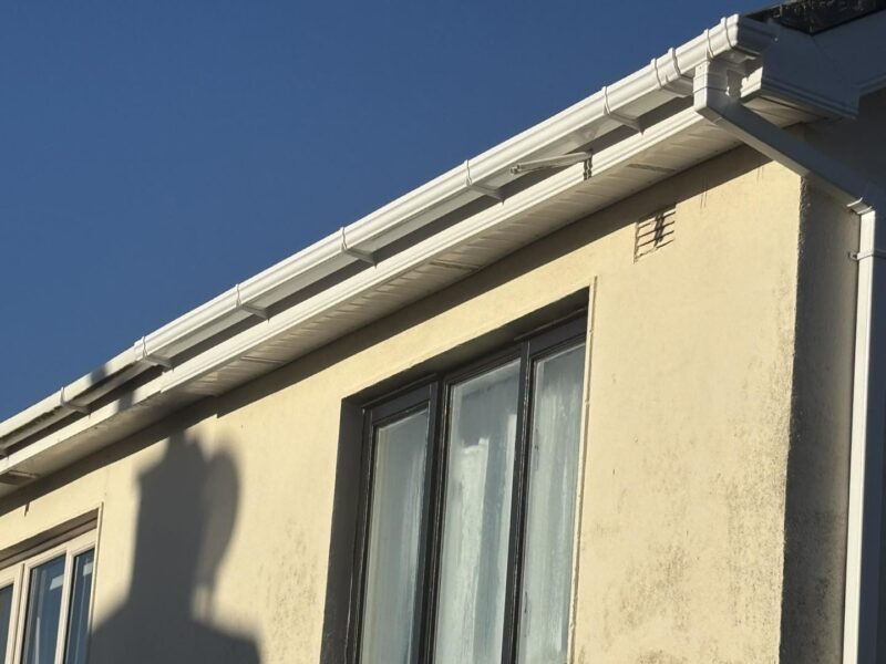 Gutter Cleaning